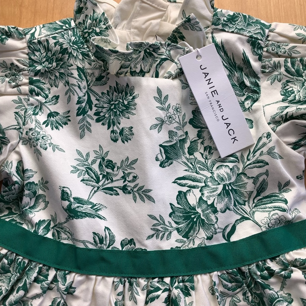 NWT JANIE AND JACK FLORAL TOILE DRESS GREEN WHITE 2T - Picture 4 of 8